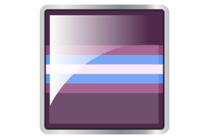 Gender-Nonconforming Flag Square icon flag