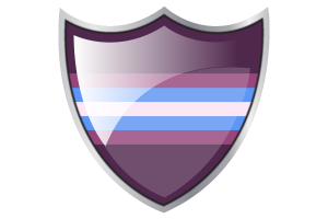 Shield with Flag of Gender-Nonconforming flag