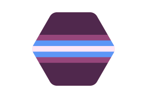 Gender-Nonconforming Flag Vector Illustration flag