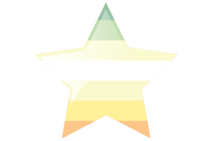 Genderflor Flag Star Icon flag