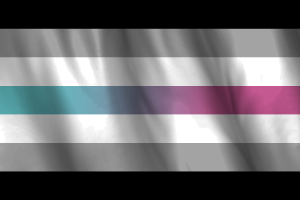 Drapeau National de Libragender flag