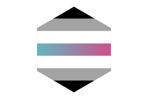 Drapeau Libragender forme hexagone flag