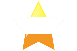 Maverique Flag Star Icon flag