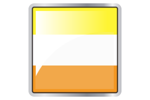 Maverique Flag Square icon flag