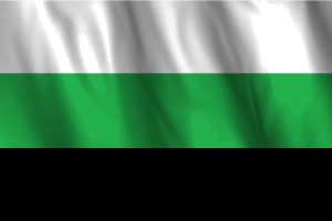 National Flag of Neutrois flag