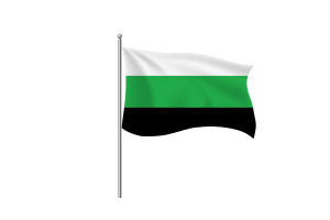 Neutrois Flag symbol flag