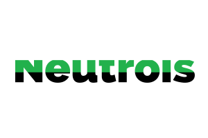 Neutrois Text Art flag