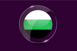 Neutrois Flag Glossy Round Button flag