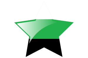 Neutrois Flag Star Icon flag