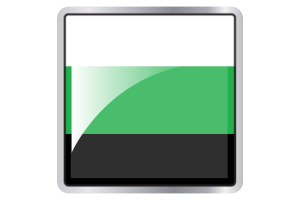 Neutrois Flag Square icon flag