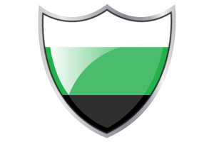 Shield with Flag of Neutrois flag