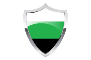 Neutrois Flag with Medieval Heater Shield flag