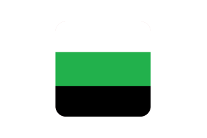 Neutrois Flag Square Rounded Shape flag