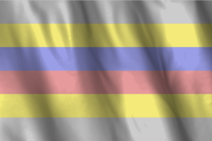 National Flag of Pivotgender flag