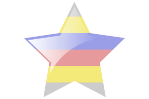 Pivotgender Flag Star Icon flag