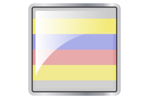 Pivotgender Flag Square icon flag