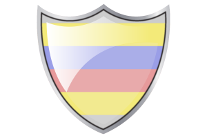 Shield with Flag of Pivotgender flag