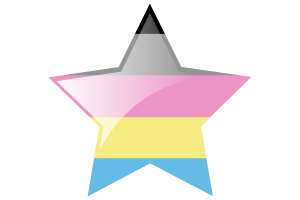Polygender Flag Star Icon flag