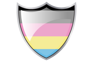 Shield with Flag of Polygender flag