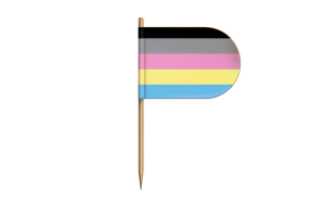 Polygender Flag for Desk, Table flag