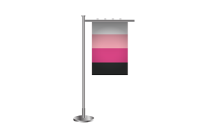 Bandiera Transfemminile in 3D flag