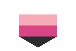 Bandiera Transfemminile forma esagonale flag