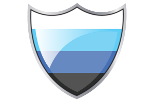 Escudo con la Bandera Transmasc flag