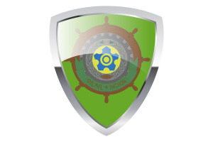 Former Incheon Shield Flag flag