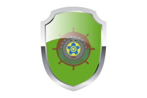 Former Incheon Shield Logo flag