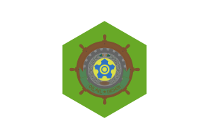 Former Incheon Flag Hexagon Shape flag