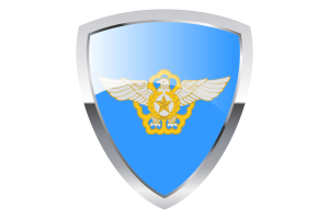 Korea Air Force Shield Flag flag