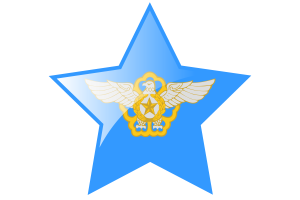 Korea Air Force Flag Star Icon flag