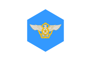 Korea Air Force Flag Hexagon Shape flag