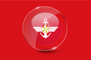 Korea Armed Forces Flag Glossy Round Button flag
