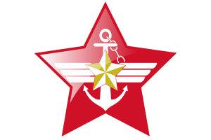 Korea Armed Forces Flag Star Icon flag