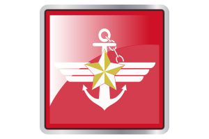 Korea Armed Forces Flag Square icon flag