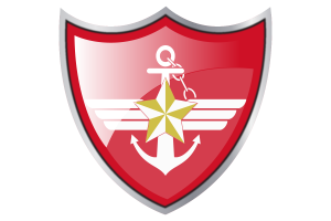 Shield with Flag of Korea Armed Forces flag