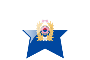 Korea Army Flag Star Icon flag
