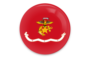 Bandera del Cuerpo de Marines de Corea Arte vectorial flag