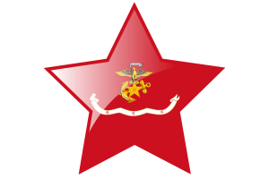Icono de estrella de la bandera del Cuerpo de Marines de Corea flag