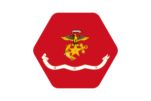 Bandera del Cuerpo de Marines de Corea Ilustración vectorial flag