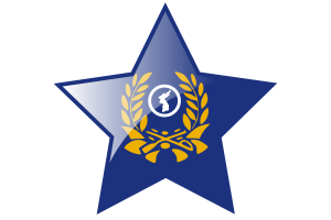 Korea Reserve Forces Flag Star Icon flag