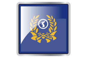Korea Reserve Forces Flag Square icon flag