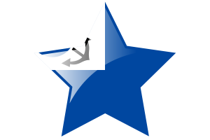 Korea Reserve Forces Flag Star Icon flag