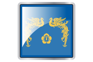 President of South Korea Flag Square icon flag