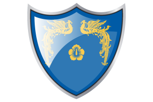 Shield with Flag of President of South Korea flag