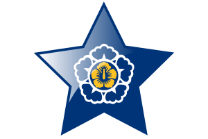 Standard of the Prime Minister of Korea Flag Star Icon flag