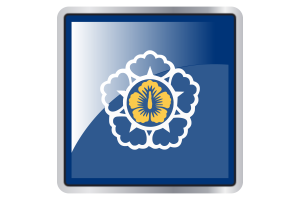 Standard of the Prime Minister of Korea Flag Square icon flag