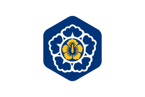 Standard of the Prime Minister of Korea Flag Rounded Hexagon Shape flag