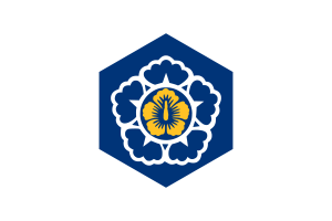 Standard of the Prime Minister of Korea Flag Hexagon Shape flag